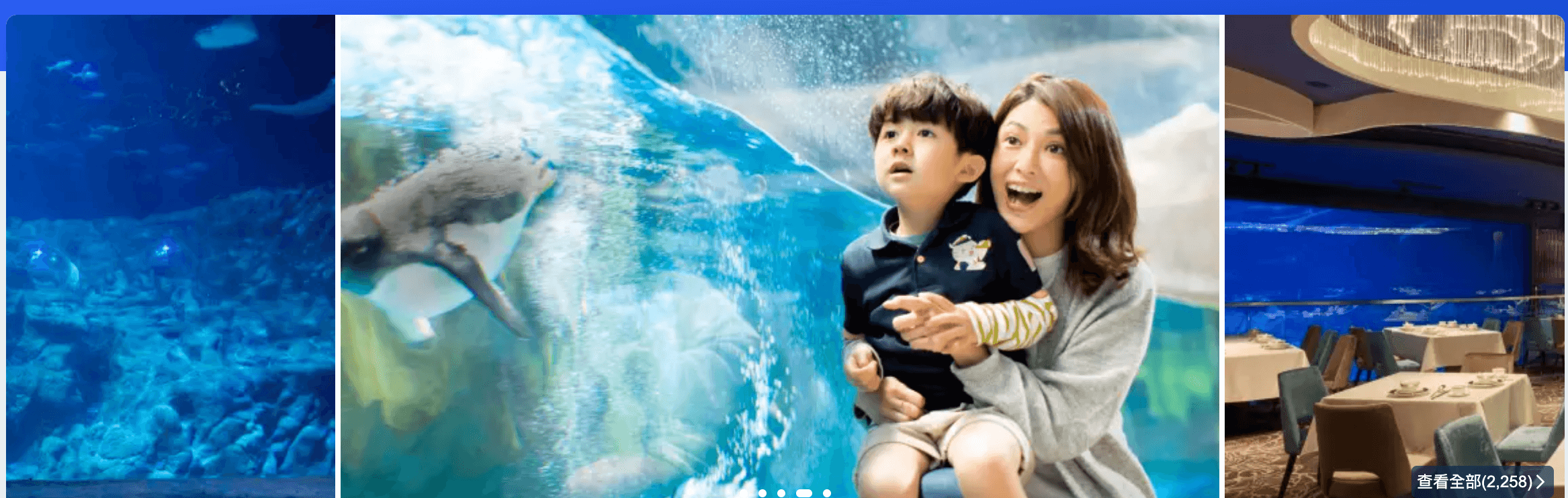 Trip.com優惠代碼2023- X 海洋公園無限Fun入場證低至71折